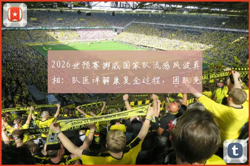2026世预赛挪威国家队流感风波真相：队医详解康复全过程，团队免疫能力获赞