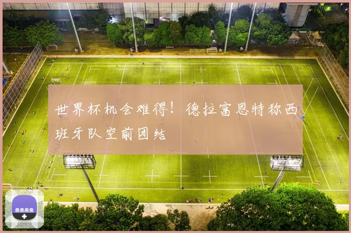 世界杯机会难得！德拉富恩特称西班牙队空前团结